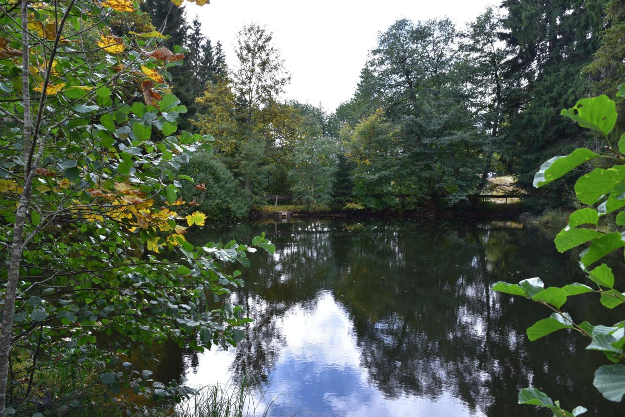 Apartment Eisenhauer In Schluchsee Exteriör bild