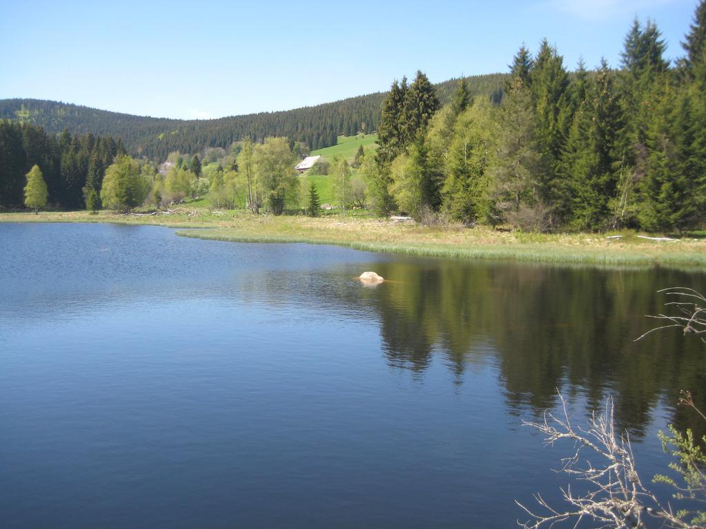 Apartment Eisenhauer In Schluchsee Exteriör bild
